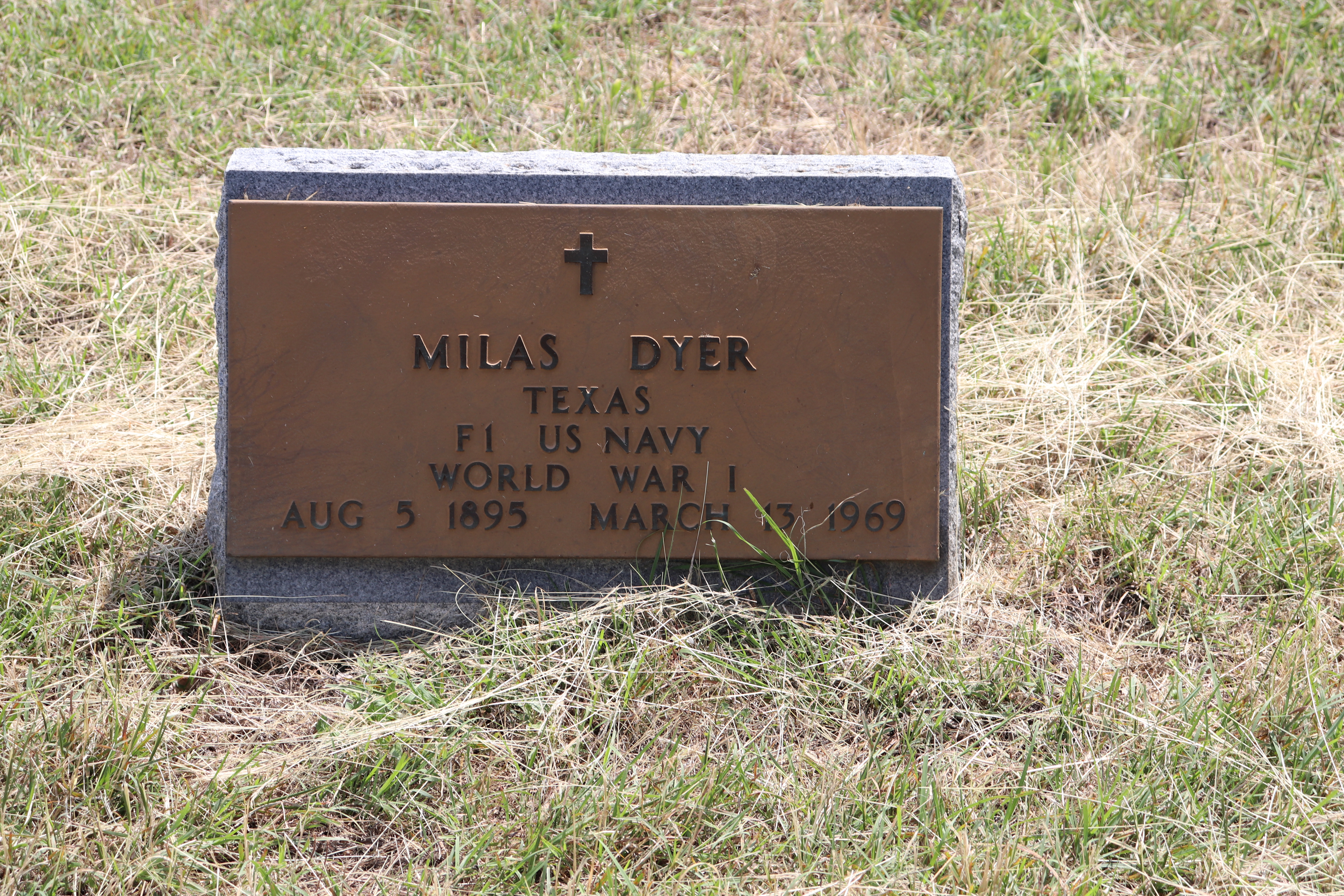 Photographed 22 May 2020.