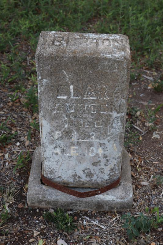 Photographed 21 September 2019.