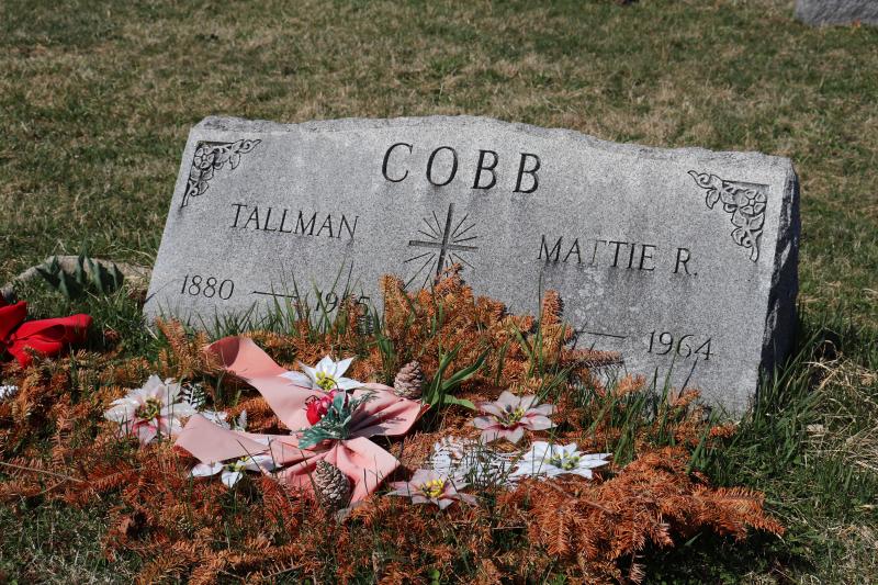 Photographed 06 Apr 2019.