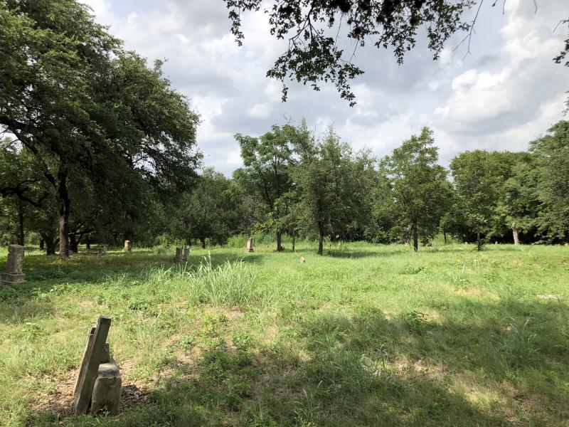 Photographed 07 July 2020.