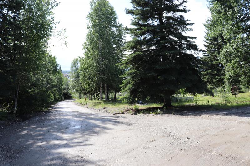 Photographed 18 July 2020.