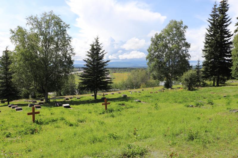 Photographed 18 July 2020.