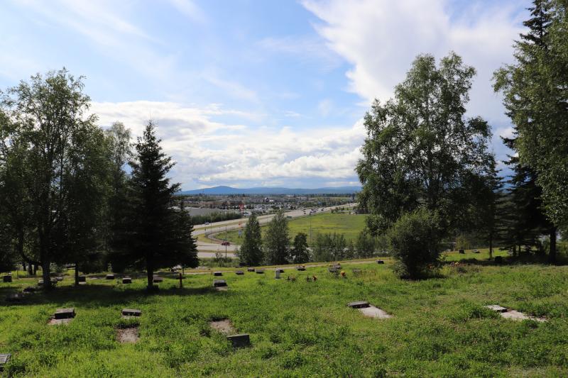 Photographed 18 July 2020.