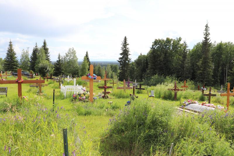 Photographed 18 July 2020.