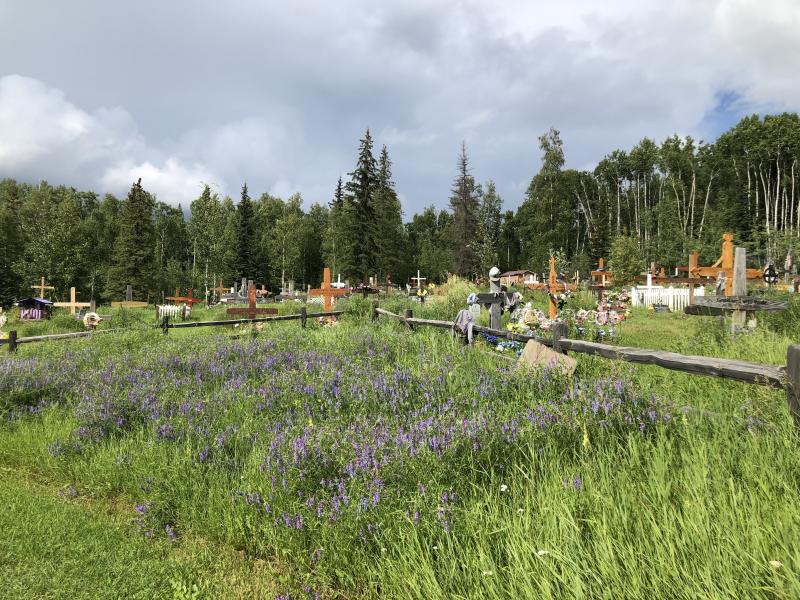 Photographed 18 July 2020.